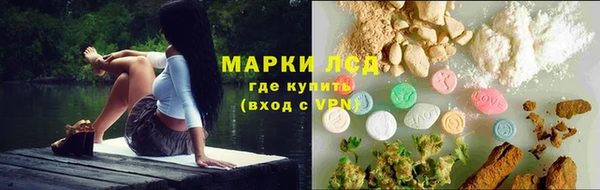 a pvp Алзамай