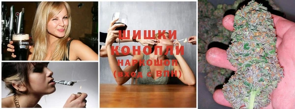 ешки Алексеевка