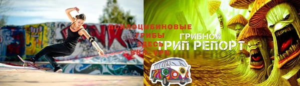 a pvp Алзамай