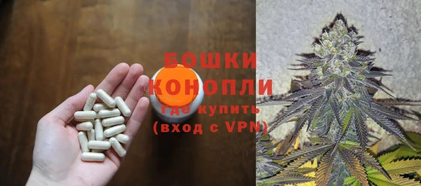 ешки Алексеевка