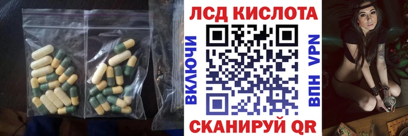 Лсд 25 экстази ecstasy где купить наркоту кракен онион Новоалтайск
