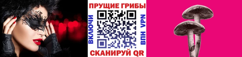 Галлюциногенные грибы прущие грибы  Новоалтайск 